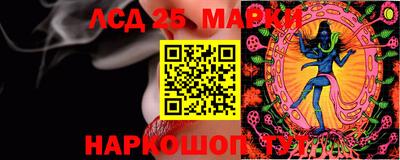 СК Донецк